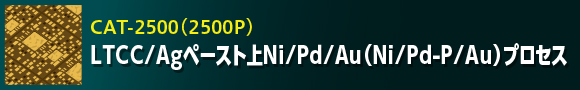 LTCC/Agペースト上Ni/Pd/Au（Ni/Pd-P/Au）プロセス