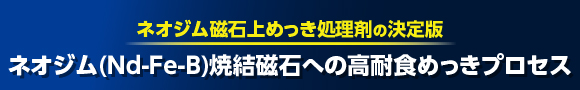 ネオジム(Nd-Fe-B)焼結磁石への高耐食めっきプロセス